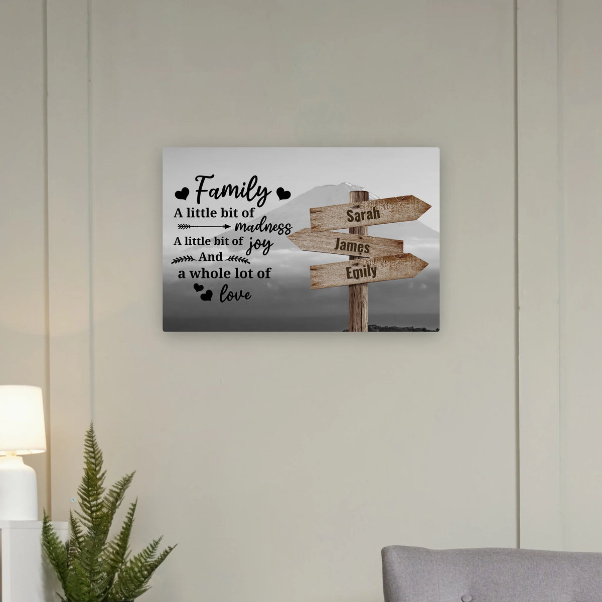 canvas 20x-30 check